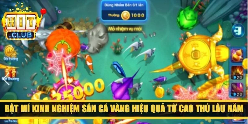 Bật mí kinh nghiệm săn cá Vàng hiệu quả từ cao thủ lâu năm