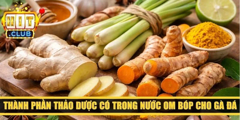 Thành phần thảo dược có trong nước om bóp cho gà đá