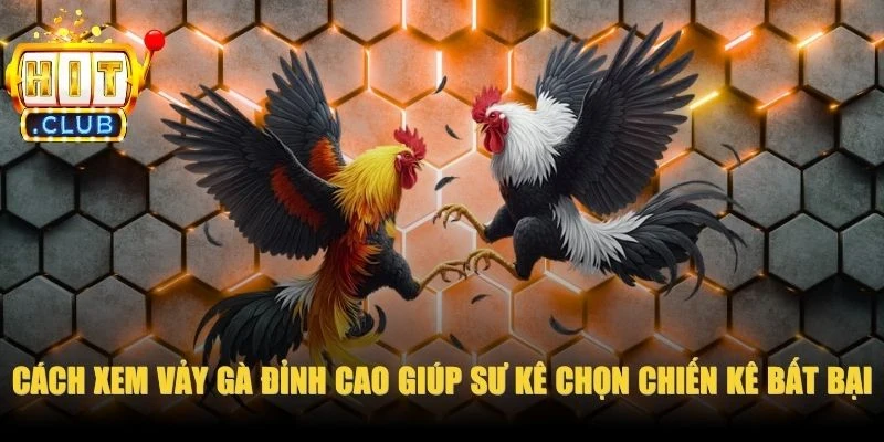 Cách Xem Vảy Gà
