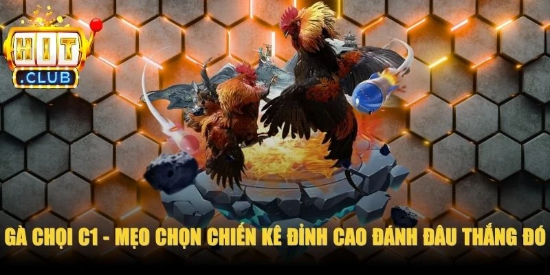 Gà Chọi C1